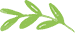 سانی پت