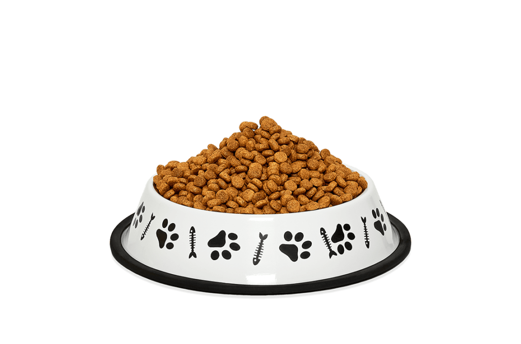 غذای سگ و گربه