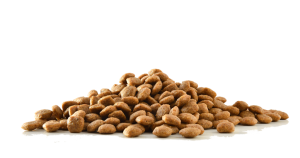 غذای گربه و سگ