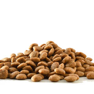 غذای گربه و سگ