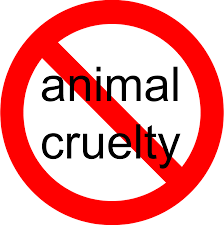 Stop Animal cruelty